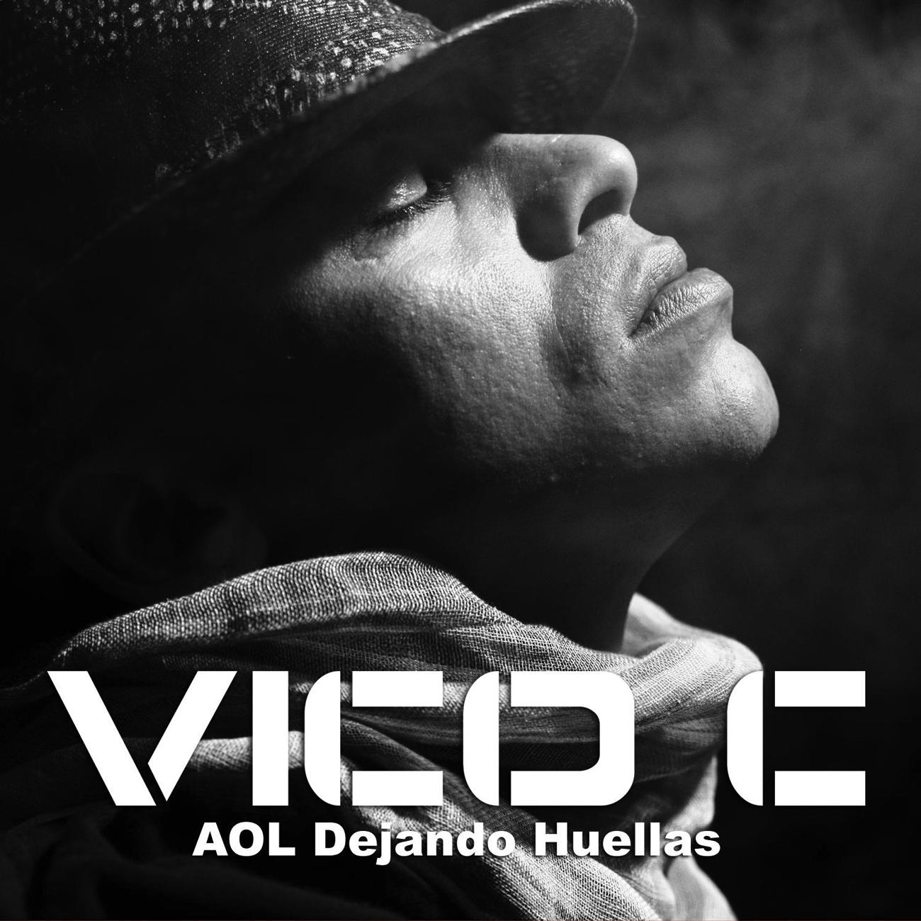 AOL Dejando Huellas