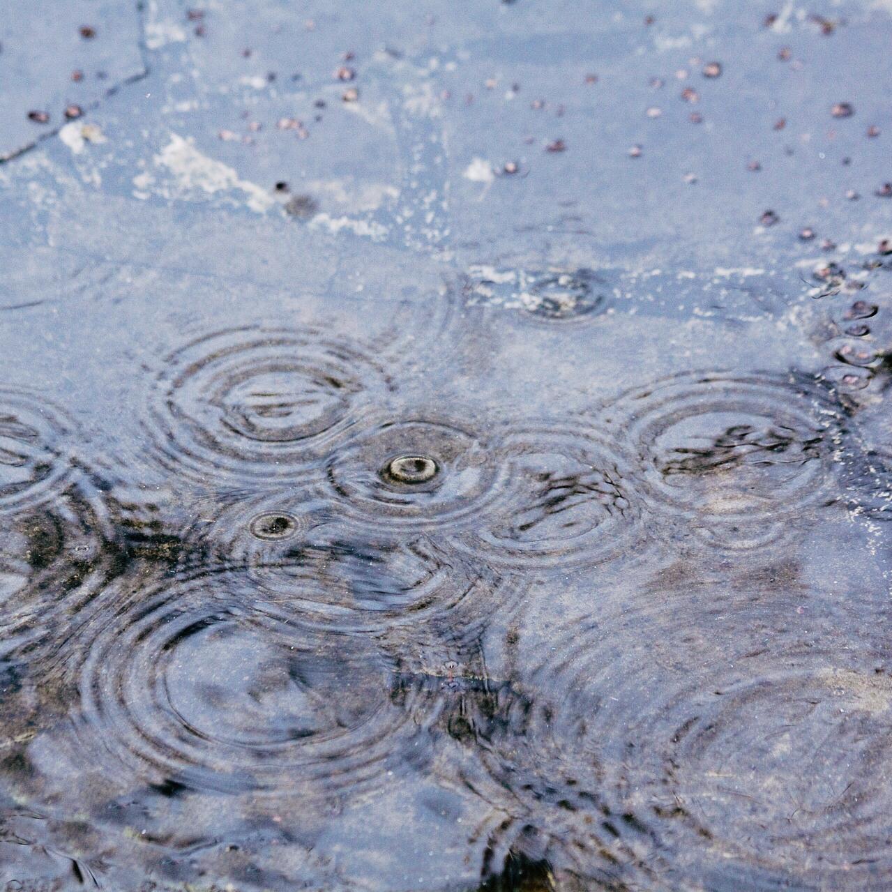 在雨中与你相遇专辑