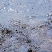 在雨中与你相遇