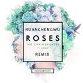 Roses （ RuanChengWu Remix ）
