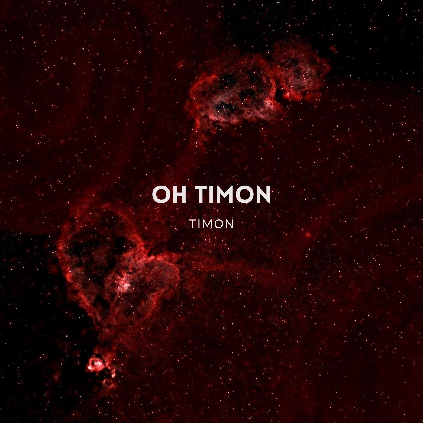 Oh Timon