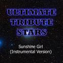 Che'Nelle - Sunshine Girl (Instrumental Version)专辑