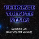 Che'Nelle - Sunshine Girl (Instrumental Version)专辑