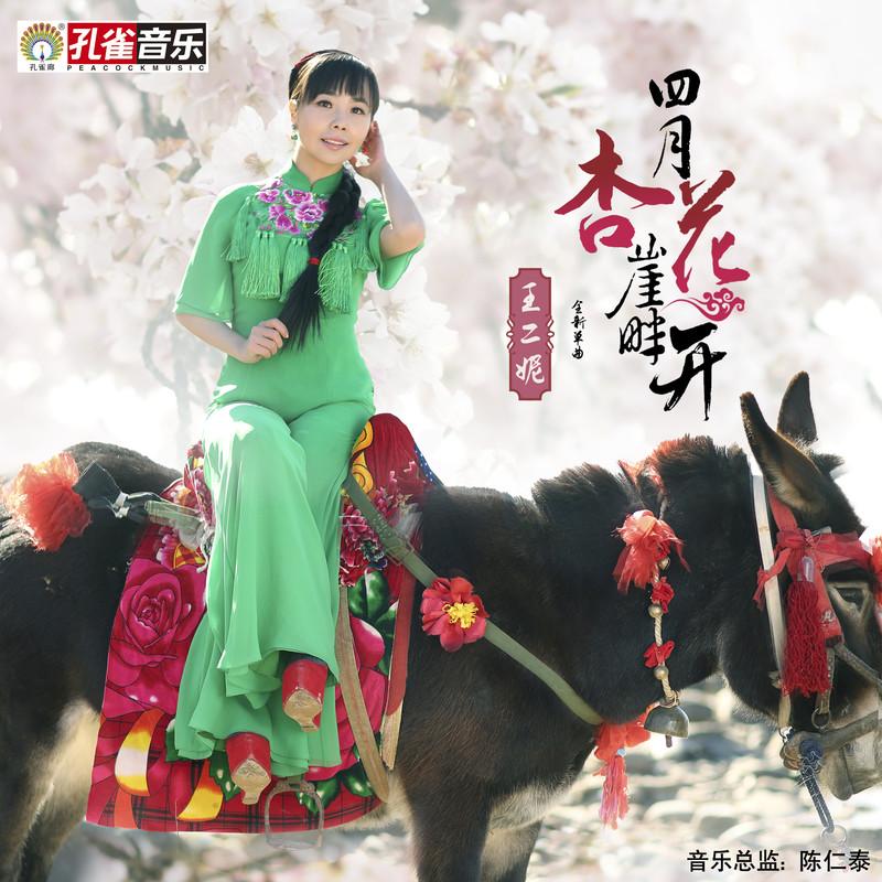 四月杏花崖畔开