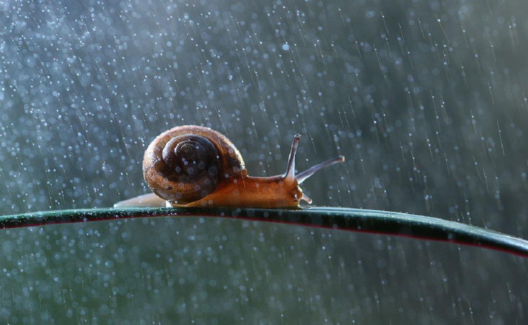 雨中漫步专辑