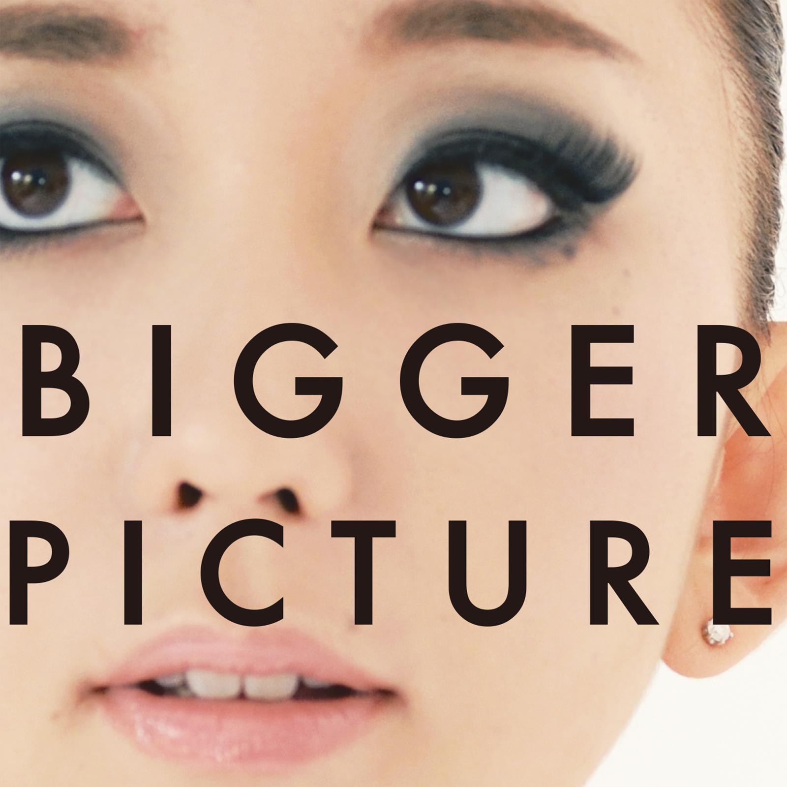 BIGGER PICTURE