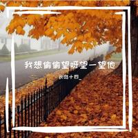 我偷偷望呀望一望他(锋锋 抖音版 伴奏)