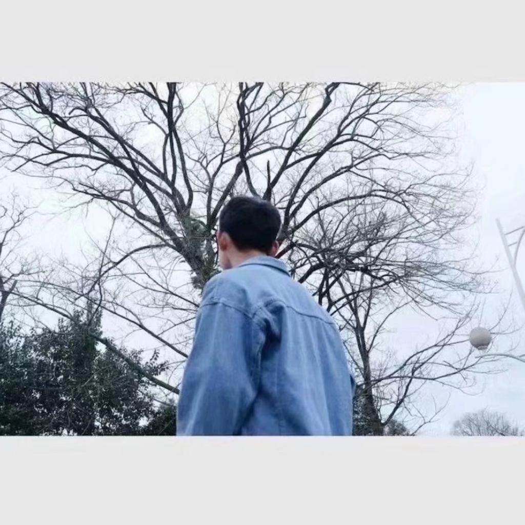 车载音乐 DJ版 | 在线播放 | 网易云音乐