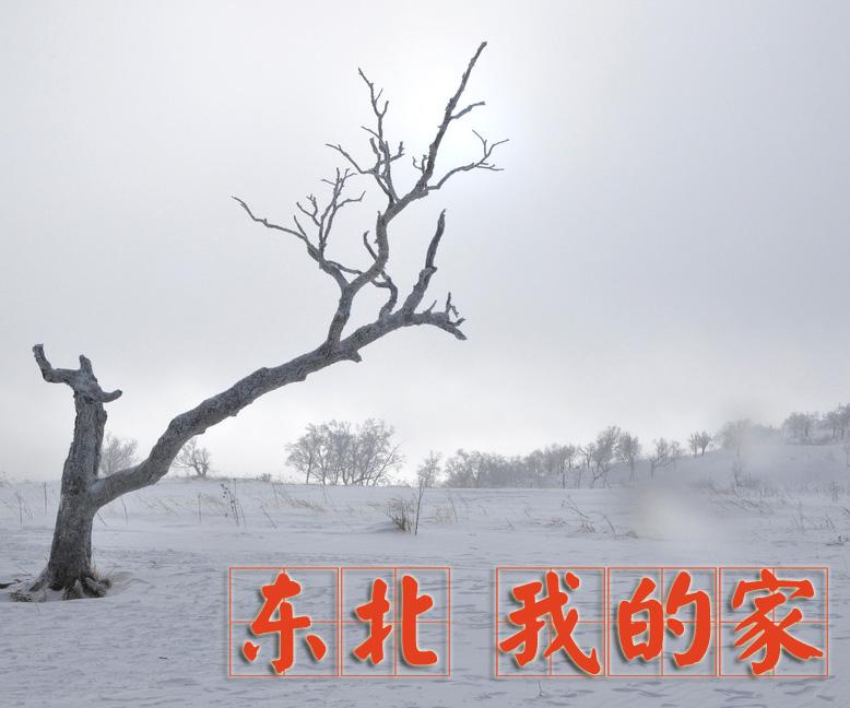 东北 我的家