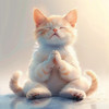 Gato Total Relax - Meditación Relajante Para La Siesta Felina
