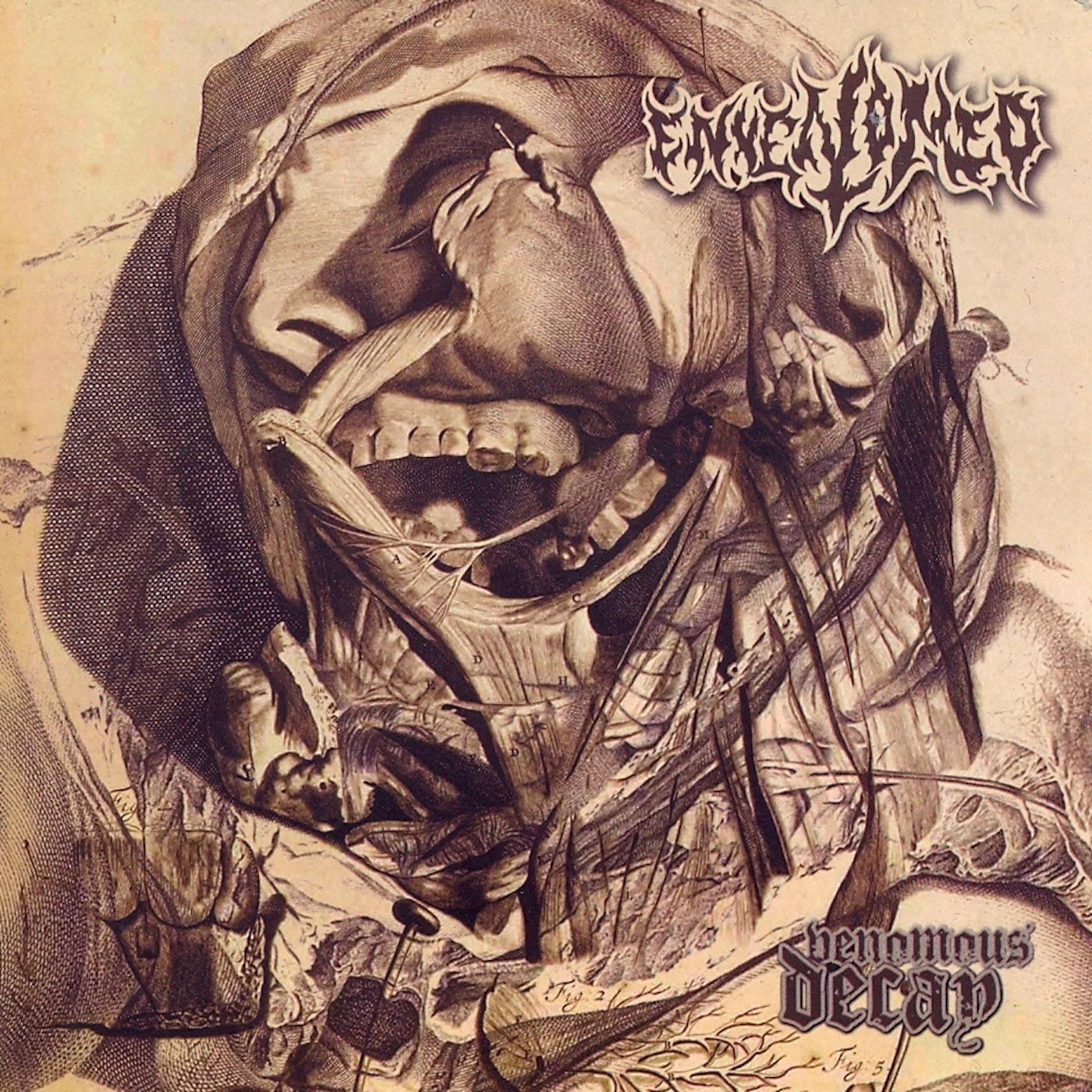 Venomous Decay