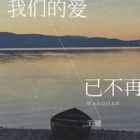 王键 - 我们的爱已不再 (DJ九零版)