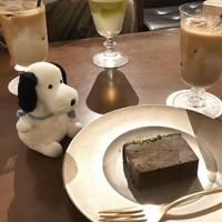 我看过(cover：cici-)