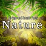 Background Sounds from Nature专辑