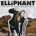 Never Been In Love (Remixes)专辑