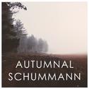 Autumnal Schumann专辑