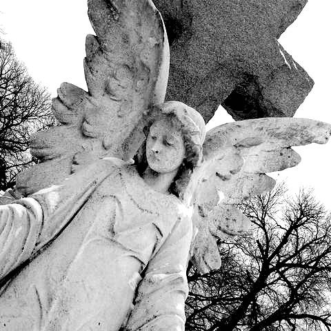 angels watching over we.