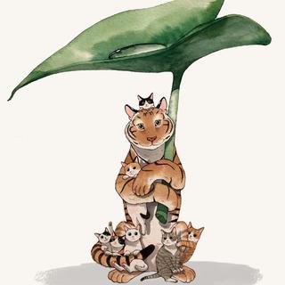 放个大招给你看！（OPPO Reno 宣传曲完整版