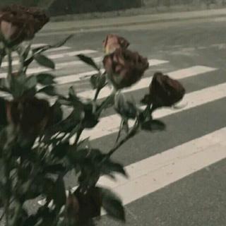 听了会上头.