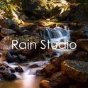 12 Tracks from the Rain Sound Studio - Rain and Nature Sounds专辑