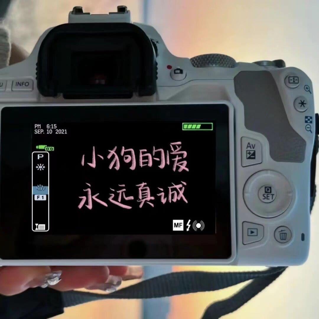阿拉斯加海湾