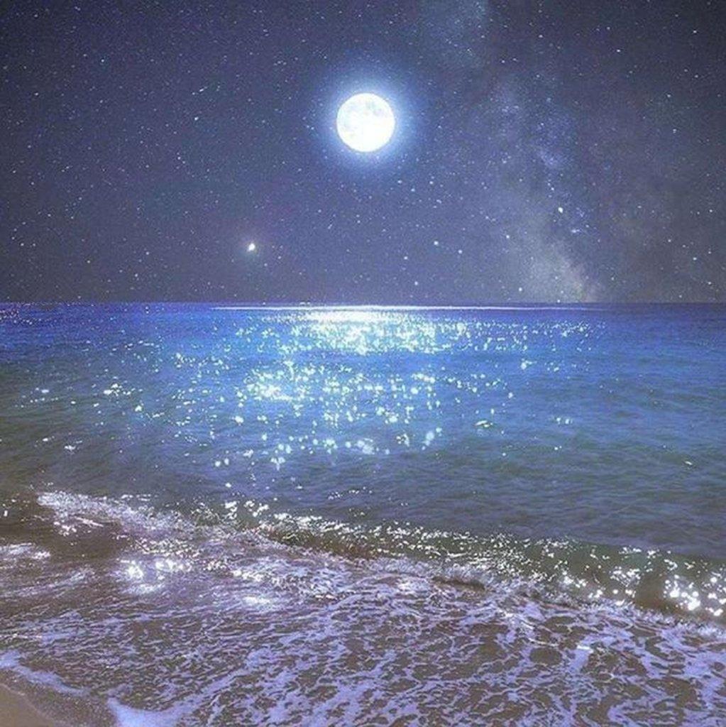 「助眠音乐」自然系 河流 鸟鸣 雨声 白噪音