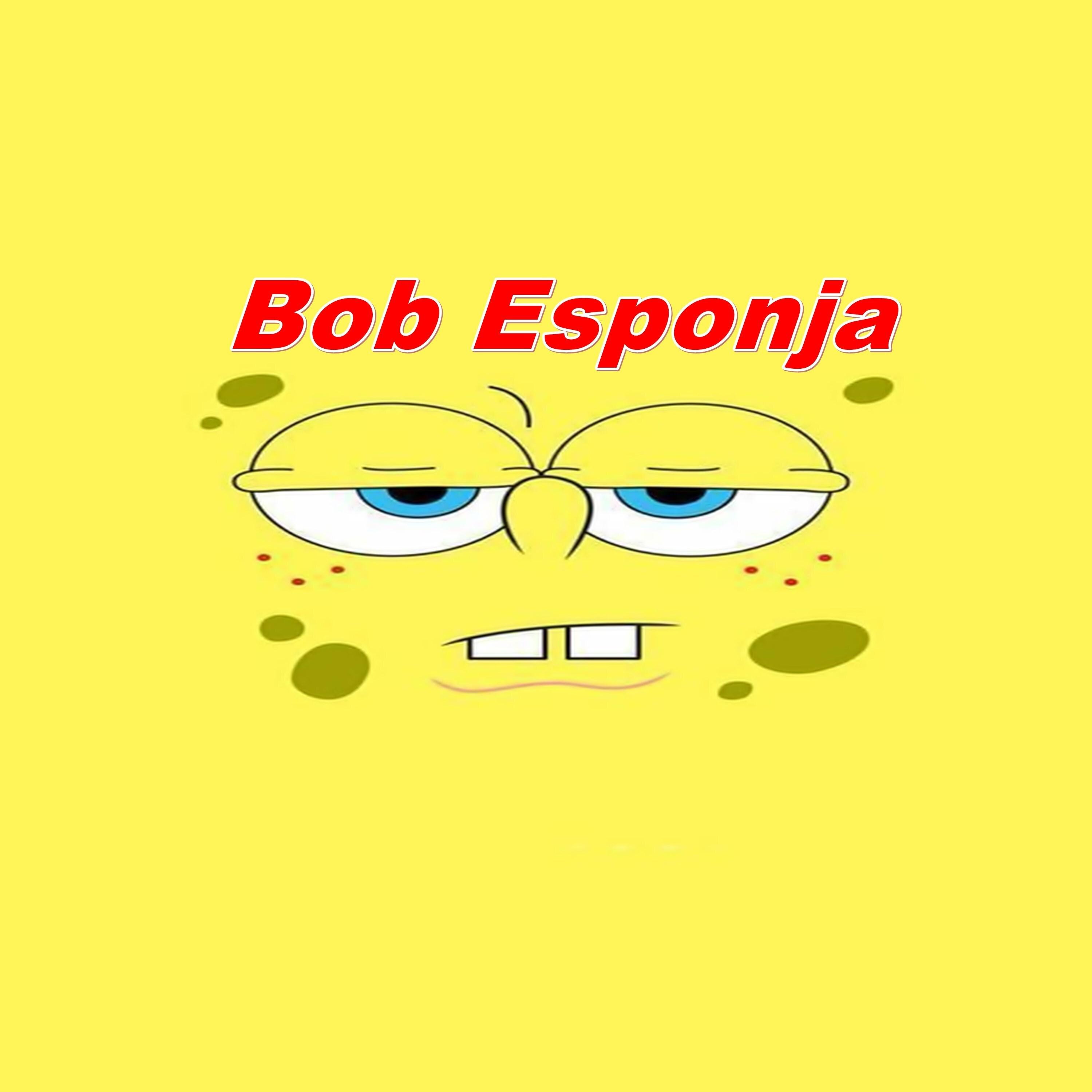 Bob Esponja