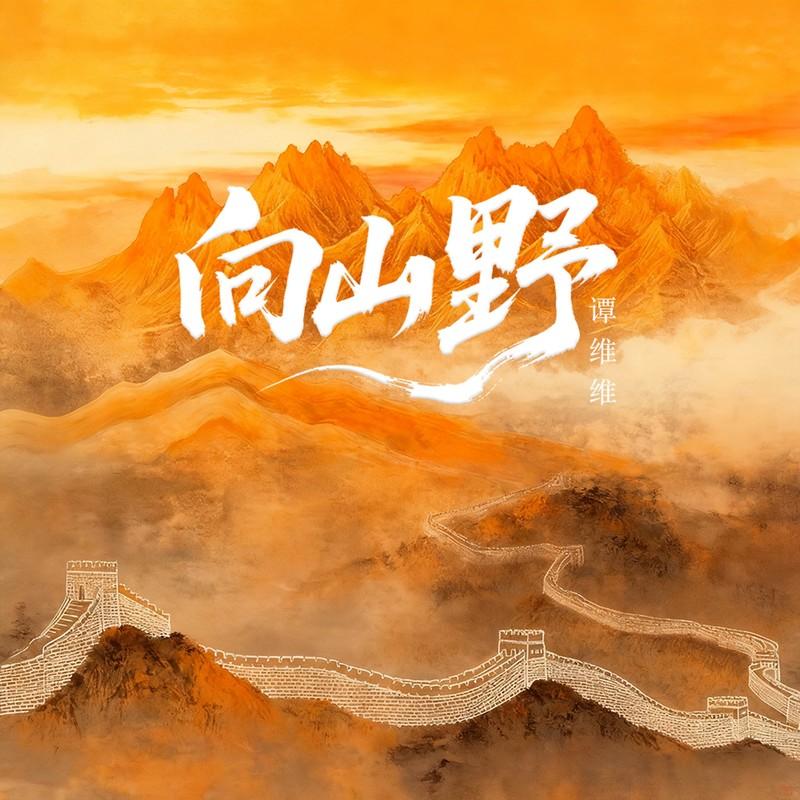 谭维维-《向山野》