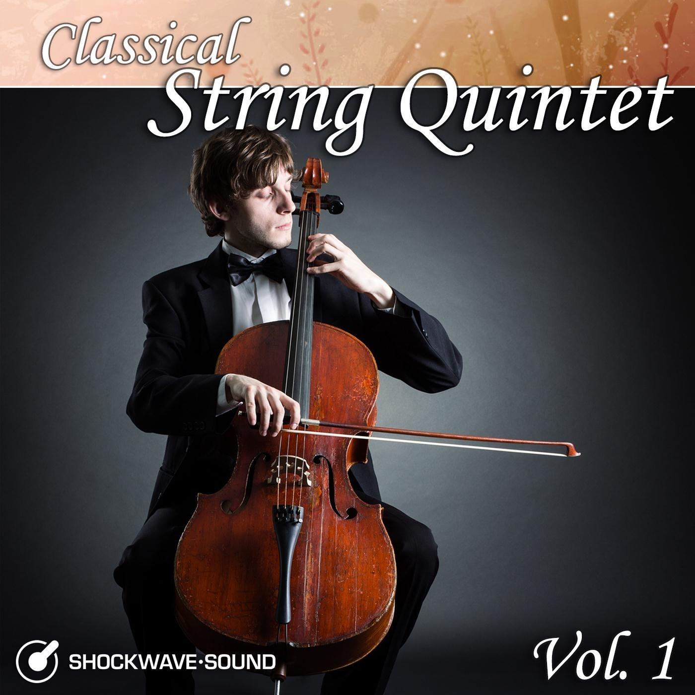 Classical String Quintet, Vol. 1
