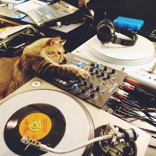 GTA5夜总会打工DJ