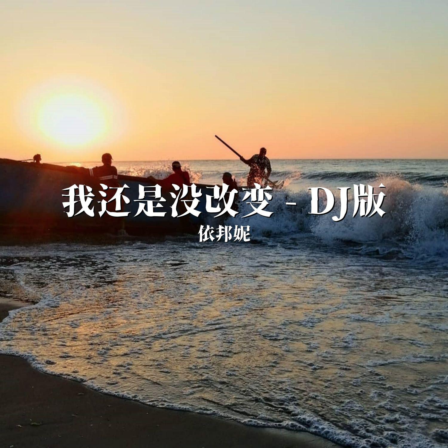 我还是没改变（DJ依邦妮版）