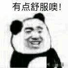 老司机の自我修养【BL BG】