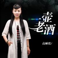 陆树铭 - 一壶老酒2019(伴奏).mp3