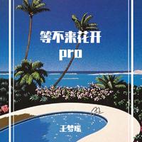 Pro-等不来花开