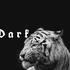 Dark