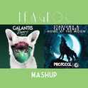 Runaway vs. Howl At The Moon(LeagloC Mashup)专辑