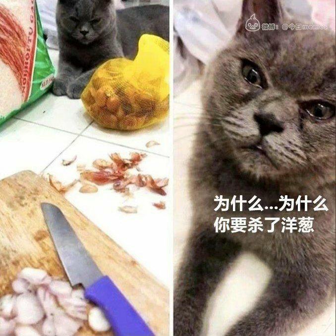 emotions/nice boy「meme」 - 你是来找meme的吧!!!!(含梗图) - 电台节目 - 网易云音乐
