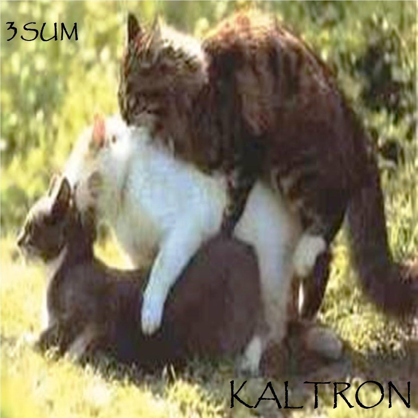 3sum