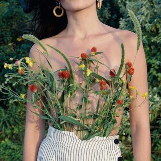 诗社终曲|在露水里养一个清凉的自己