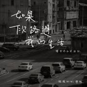 如果下次路过我的生活