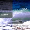 Tranquil Songs for Practicing Yoga
