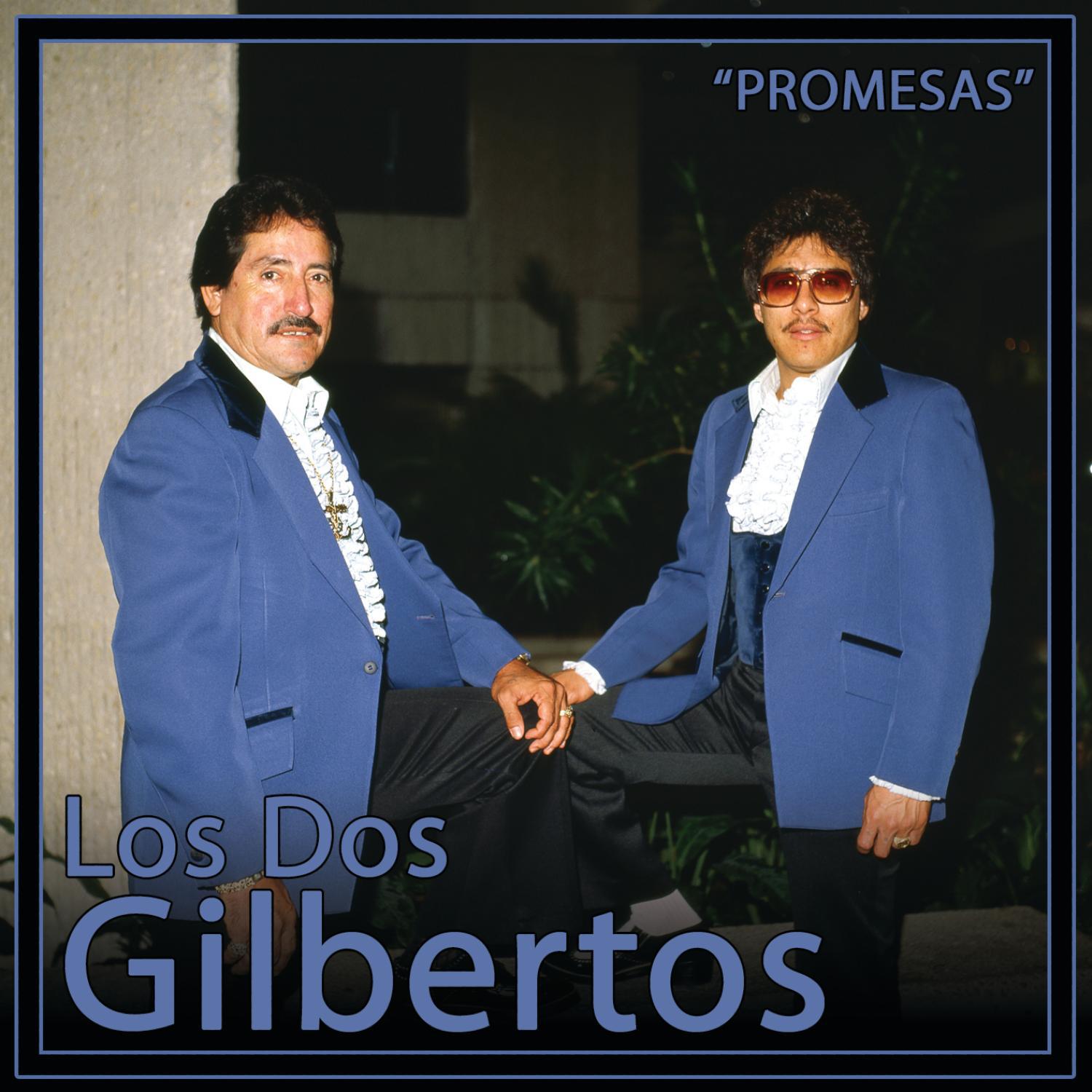 preomesas falsas - los dos gilbertos - 單曲 - 網易雲音樂