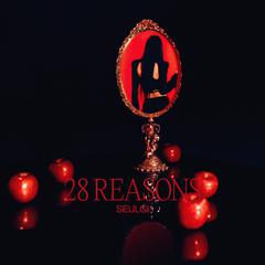 28 Reasons（中文版）