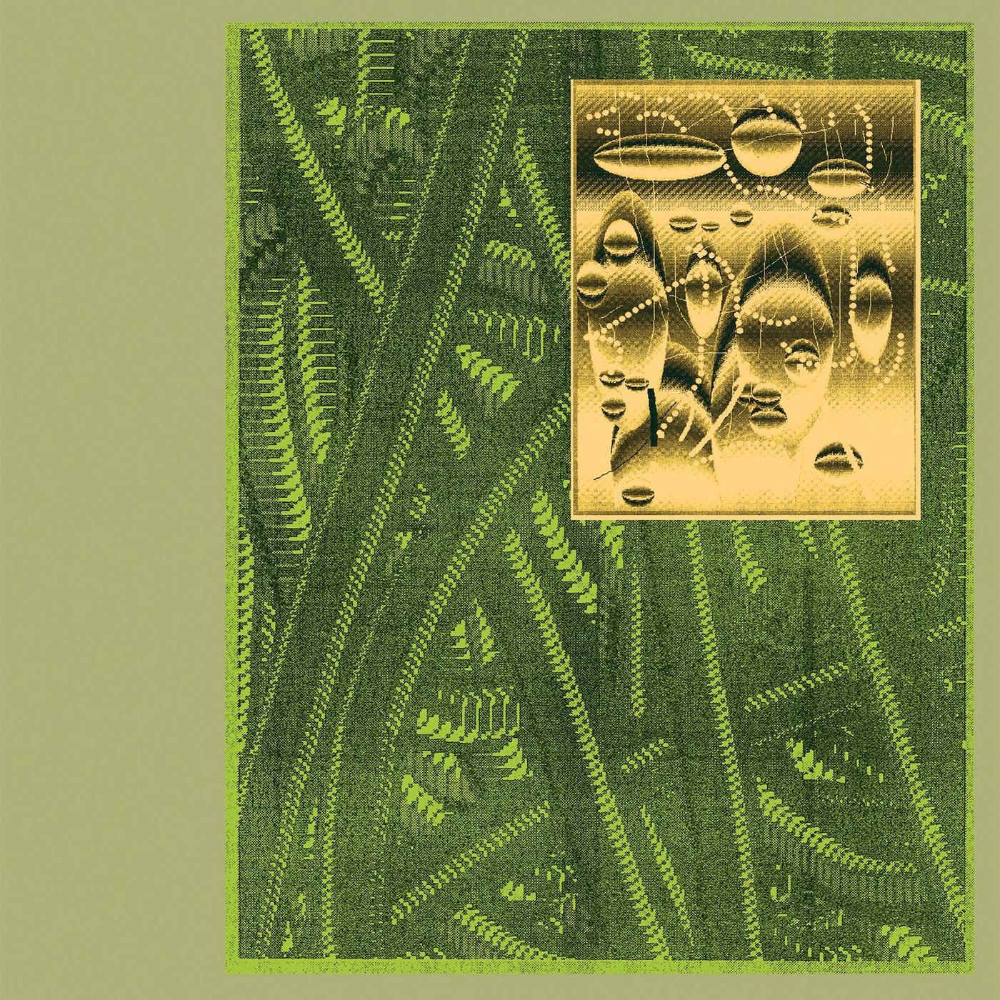 Animalcules
