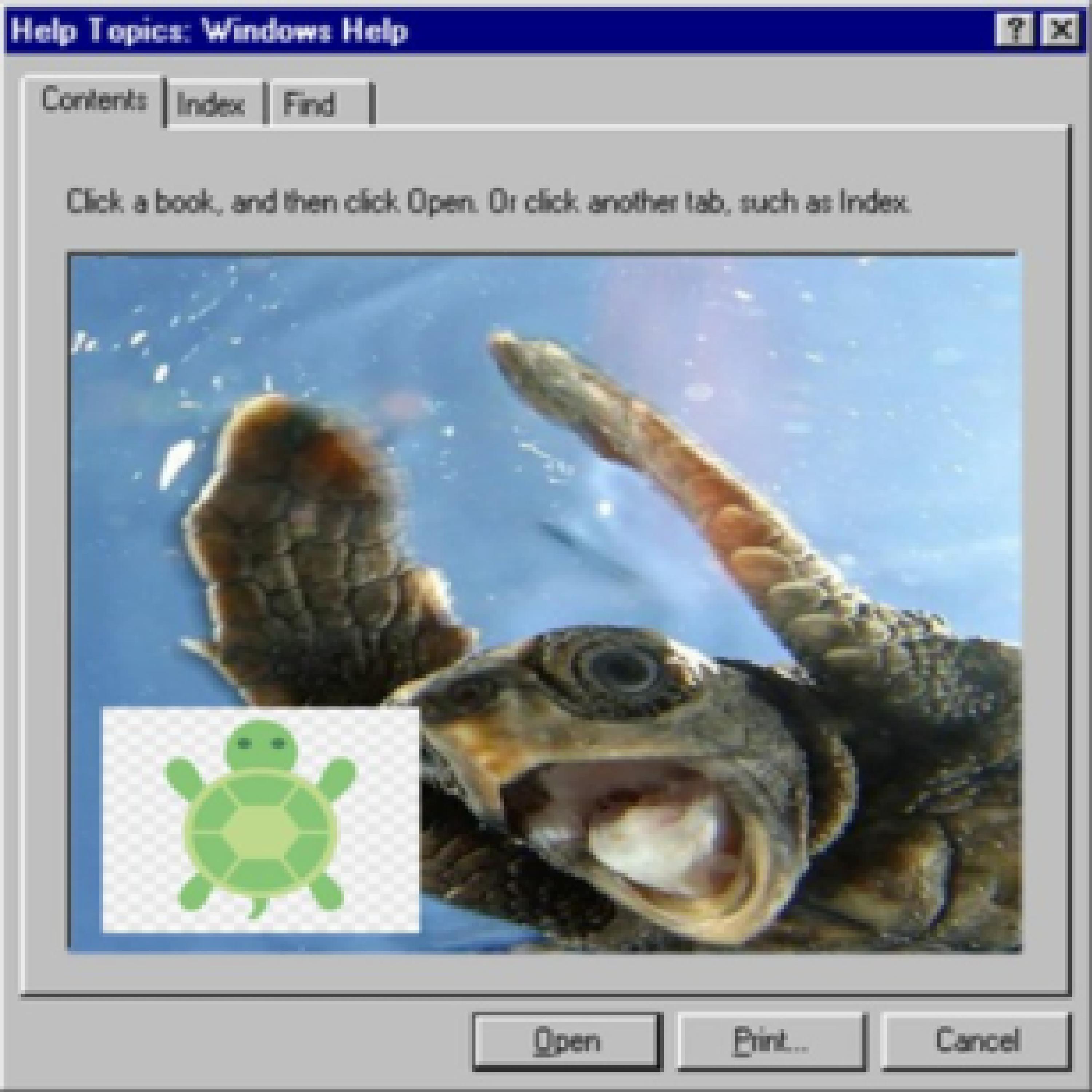 really happy turtle