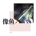 像鱼