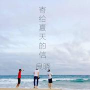 寄给夏天的信