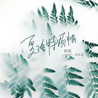金悦 - 兵心(原版立体声伴奏)