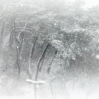 “宿命感”｜开始发挥想象力吧！