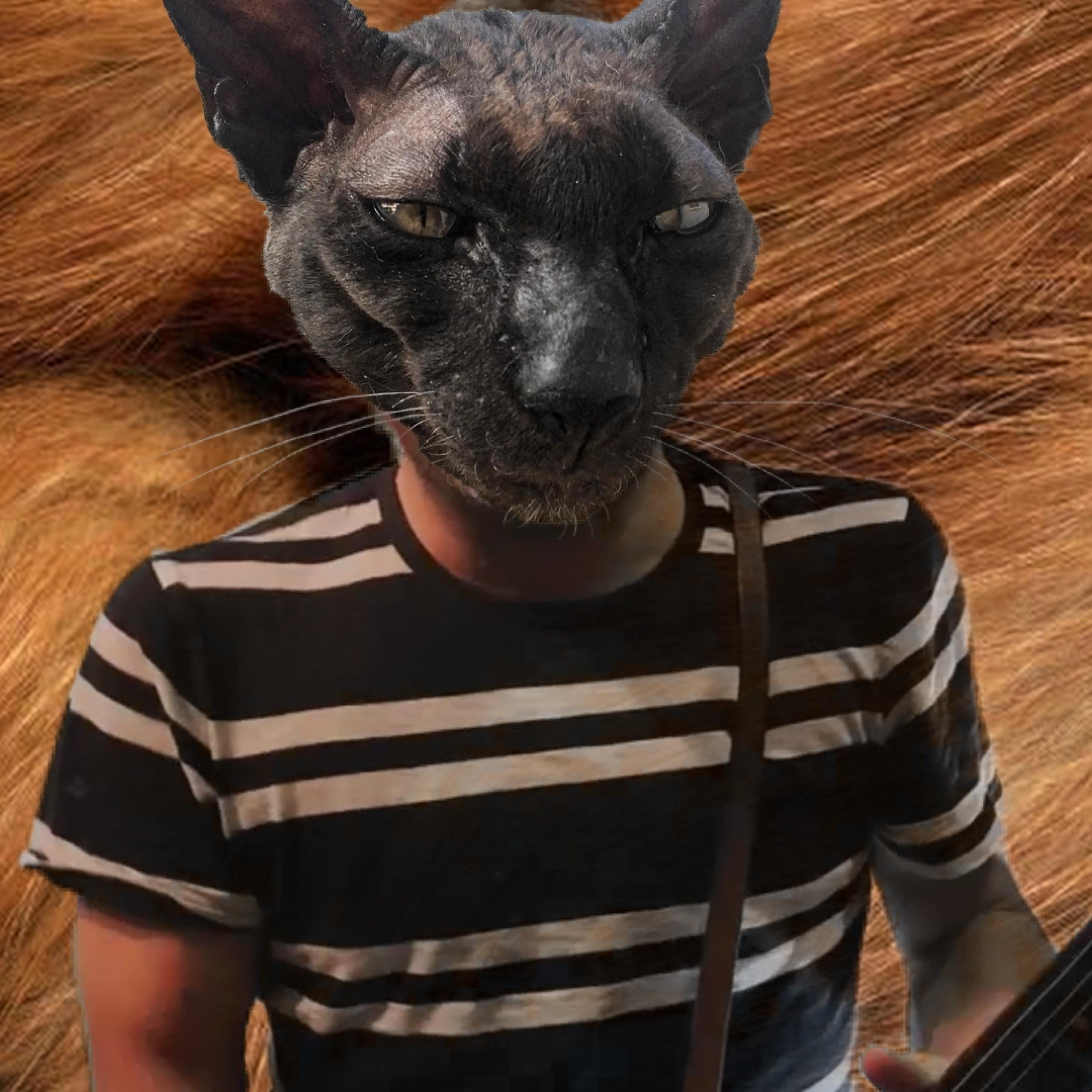 NooMeeNoo (Miaou Mix)